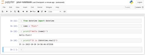 Run jupyter notebook from command line.  See the options and arguments for customizing...