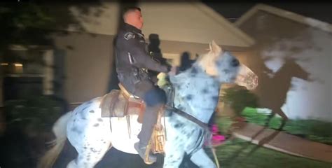 Runaway horse rescued by police in Burbank caught on video