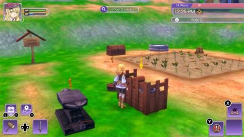 Rune Factory 5 Cooking License Answers Guide - SegmentNext