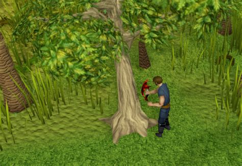 Runescape mahogany tree. A mahogany is a type of tree that can be cut down using the Woodcutting skill, giving mahogany logs and a chance of Special mahogany logs, which can be traded with the Sawmill operator for either money or a conversion of logs in your inventory into Mahogany planks for two special mahogany logs. Level 60 Woodcutting is needed to chop down this tree. They give 125 Woodcutting experience per log. 