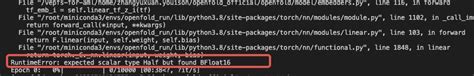 RuntimeError expected scalar type BFloat16 but found Half Beginners