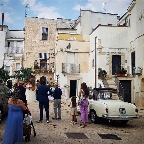 Rural Tour in Puglia / Sannicandro di Bari, olive e frantoi