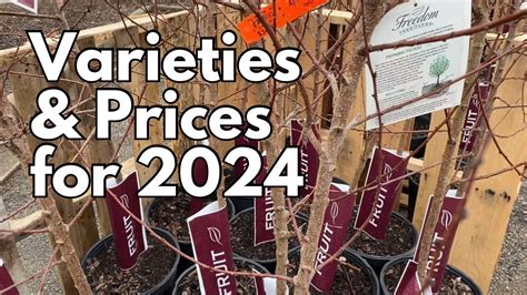 Rural king fruit trees. We've also seen a coupon code for 20% off all fishing products and tree stands for National Hunting & Fishing Day. Similar offers you might like. Code. $15 ... 