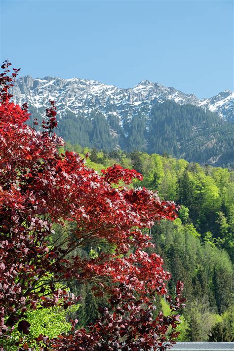 Rural scenery in Nendeln in Liechtenstein T-Shirt - Pixels