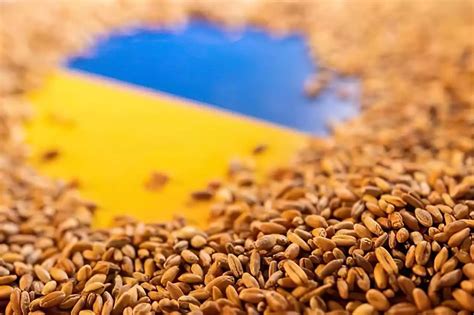 Rusia dice que el acuerdo sobre cereales del Mar Negro con Ucrania “se ha terminado”