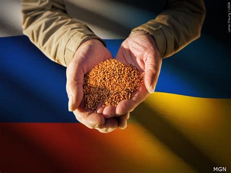 Russia, Ukraine extend grain deal to aid world’s poor