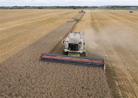 Russia’s threat to exit Ukraine grain deal adds risk to global food security