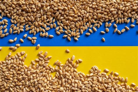 Russia agrees to extend Ukraine grain deal in a boost for global food security