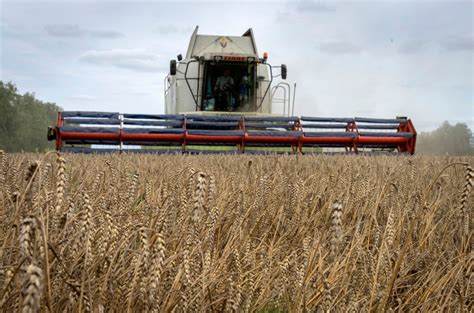 Russia halts deal that allows export of Ukrainian grain