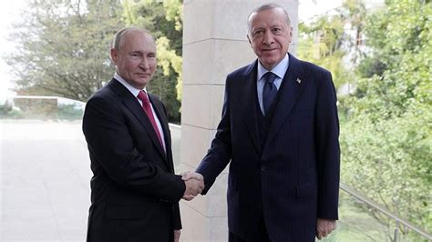 Russia ready to restart grain deal if sanctions lifted, Putin tells Erdoğan