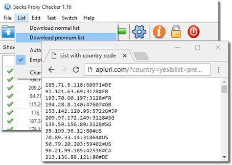 Russia socks free proxy list, RU socks proxy servers online