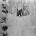 Russian Yeti: Is the Dyatlov Mystery Solved? - CryptoVille©