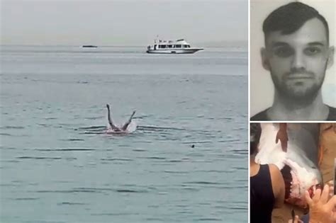 Russian citizen mauled to death by tiger shark off Egypt’s Red Sea coast in rare attack
