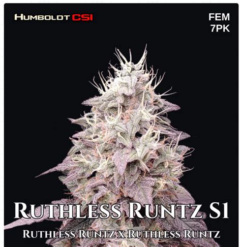 Ruthless runtz strain. Galactic Runtz is a slightly indica dominant hybrid strain (60% indica/40% sativa) created through crossing the potent Runtz X Falcon 9 strains. Infamous for its amazing flavor and high that will have you floating through outer space, Galactic Runtz is the perfect choice for any hybrid lover who's after an indica lean with their medicine. 
