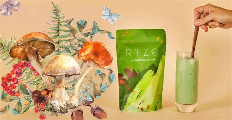 Ryze mushrooms. The 5 Reasons Your Gut Loves RYZE Mushroom Matcha "My gut aches are over! Now I have plenty of energy, no crash, and no upset stomach. Gotta have my Ryze!!" - Theresa R. With over 6,500 5-star reviews, RYZE Mushroom Matcha is America’s only gut-friendly drink that treats your tummy with love. TRY RYZE NOW 1. Mushroom M 