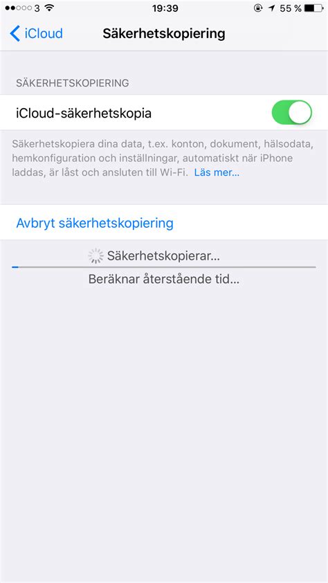 Säkerhetskopiera iphone