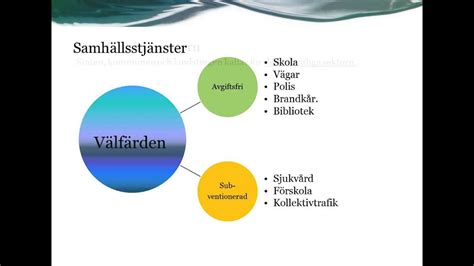 Sällskapskaninens välfärd i Sverige