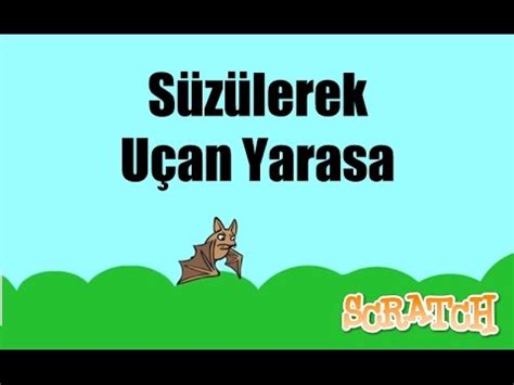 Süzülerek Uçan Yarasa 0 / 4.