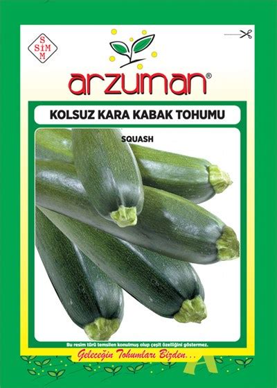 SİYAH KABAK TOHUMU.