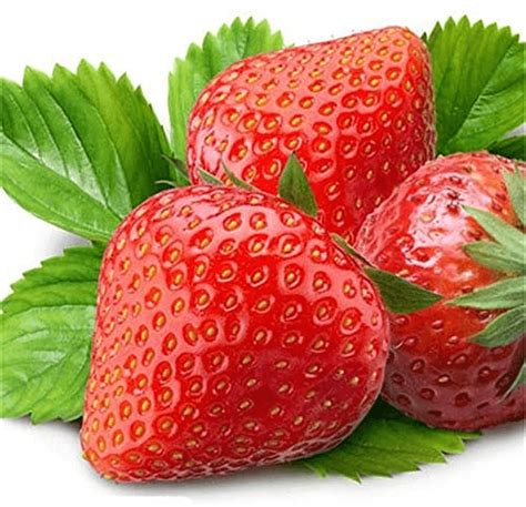 S-pone 250+ Red Climbing Strawberry Seeds … - raincitystudios.com