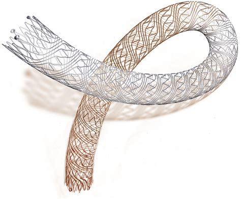 S.M.A.R.T. Flex Vascular Stent System - Cardinal Health