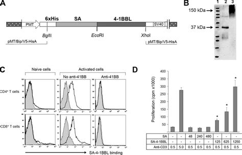 SA-4-1BBL as the immunomodulatory component