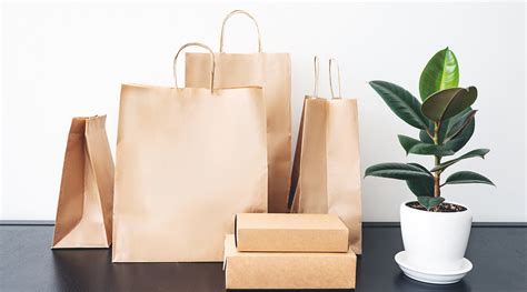 Saan-Pack : Pack with Purpose | Wholesale Paper Bags - raincitystudios.com