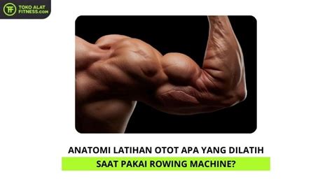 Saat melakukan Rowing, otot utama yang dilatih meliputi ... - balustradellc
