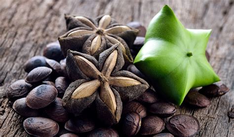 Sacha Inchi | PDF - balustradellc