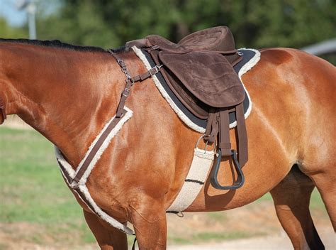 SADDLE definition in the Cambridge English Dictionary