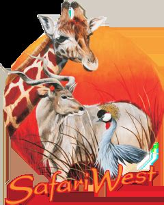 Safari West - muktibox.com