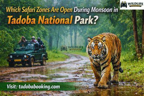 Safari Zones in Tadoba - raincitystudios.com