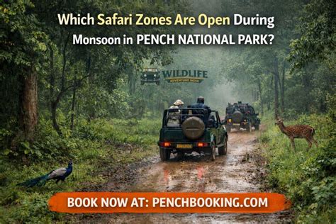 Safari Zones of Pench National Park - raincitystudios.com