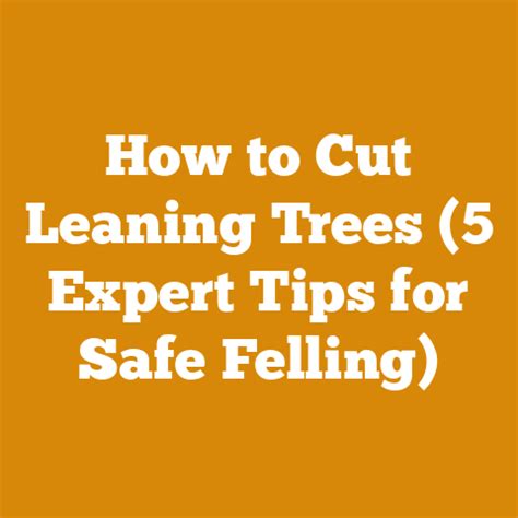 Safe felling sequences for leaning trees - raincitystudios.com