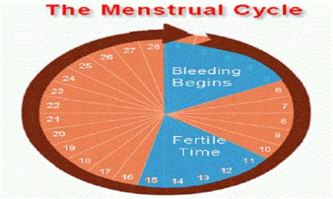 SAFE PERIODFree,easy way to calculate ovulation and safe days by