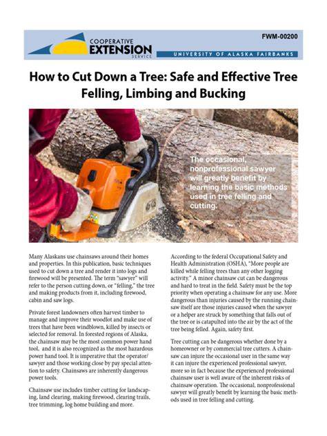 Safe Tree Felling: Protocols for Effective Logging - raincitystudios.com
