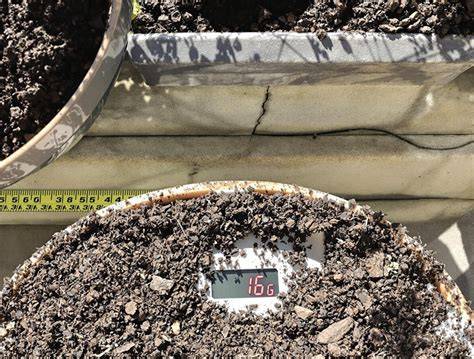 Safe Weight Limits: Soil Guide for Balcony Gardens - raincitystudios.com