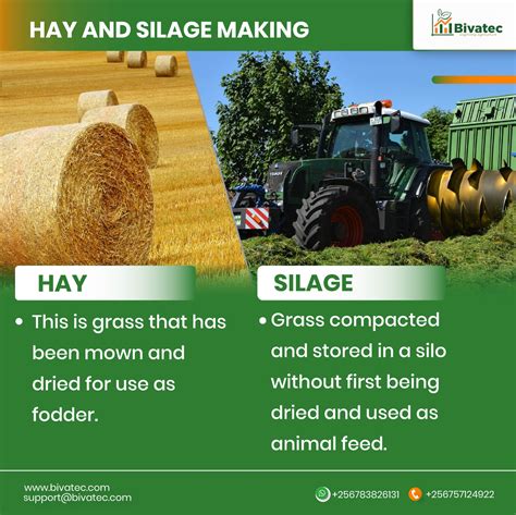 Safely Feeding Haylage and Silage | Plant NexGrow - raincitystudios.com