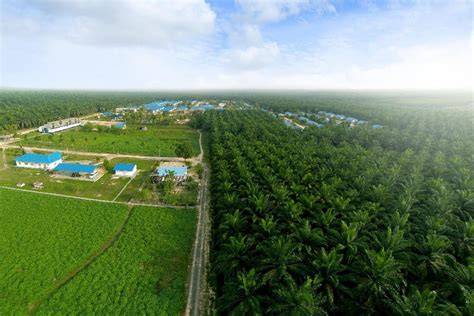 Saham: SIMP - PT. Salim Ivomas Pratama Tbk. | Stockbit - raincitystudios.com