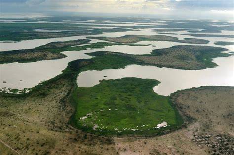 Sahel Acacia Savannas (AT23) | One Earth - raincitystudios.com