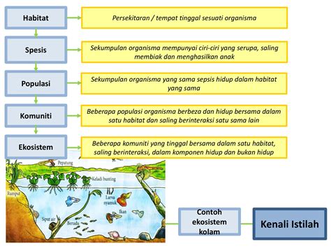 Sains Tingkatan 2 - JPN NEGERI-SEMBILAN-CM60 … - wintechmobiles.com
