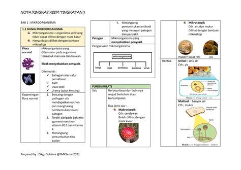 SAINS TINGKATAN 5 - TOPIK 3.1 - Google Sites - raincitystudios.com