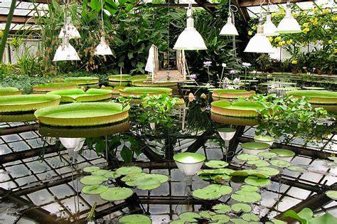 Saint Petersburg Botanical Garden - raincitystudios.com