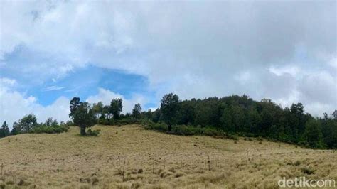 Salah Satu Sabana Di Jawa Timur - balustradellc