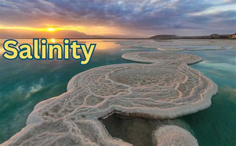 Salinity | Definition, Ocean, Unit, Examples, & Facts - raincitystudios.com