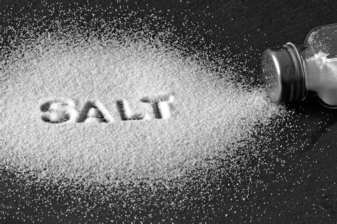 Salt - Ledger - coolestguyplanet.net