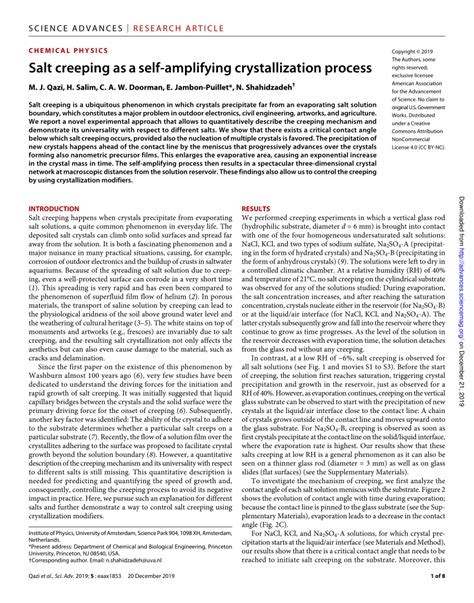 Salt creeping as a self-amplifying crystallization process - wintechmobiles.com
