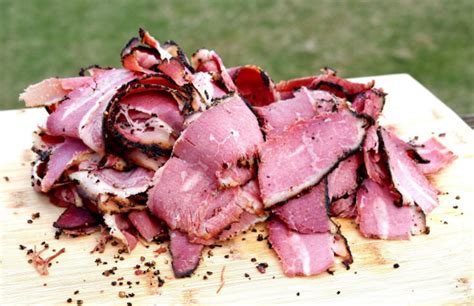 Salt Cured Meat Recipe - wintechmobiles.com