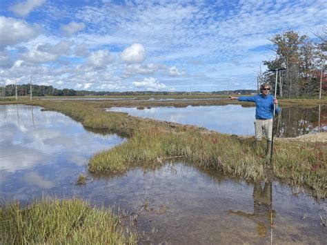 Salt Marsh Restoration Program - muktibox.com