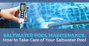 Salt Water Pool Maintenance 101 - Pool Research - balustradellc